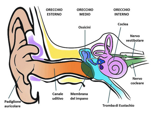 Calo dell’udito nell’anziano: cause, sintomi e cure per le principali patologie uditive
